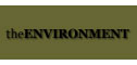 All the information you need about woodburning stoves in the environment