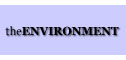 All the information you need about woodburning stoves in the environment
