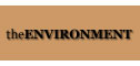 All the information you need about woodburning stoves in the environment