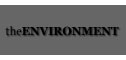 All the information you need about woodburning stoves in the environment