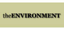 All the information you need about woodburning stoves in the environment