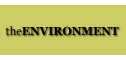 All the information you need about woodburning stoves in the environment