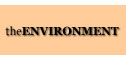 All the information you need about woodburning stoves in the environment